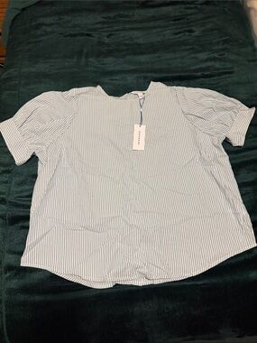 POPSUGAR Blue and White Striped Short Sleeve Blouse